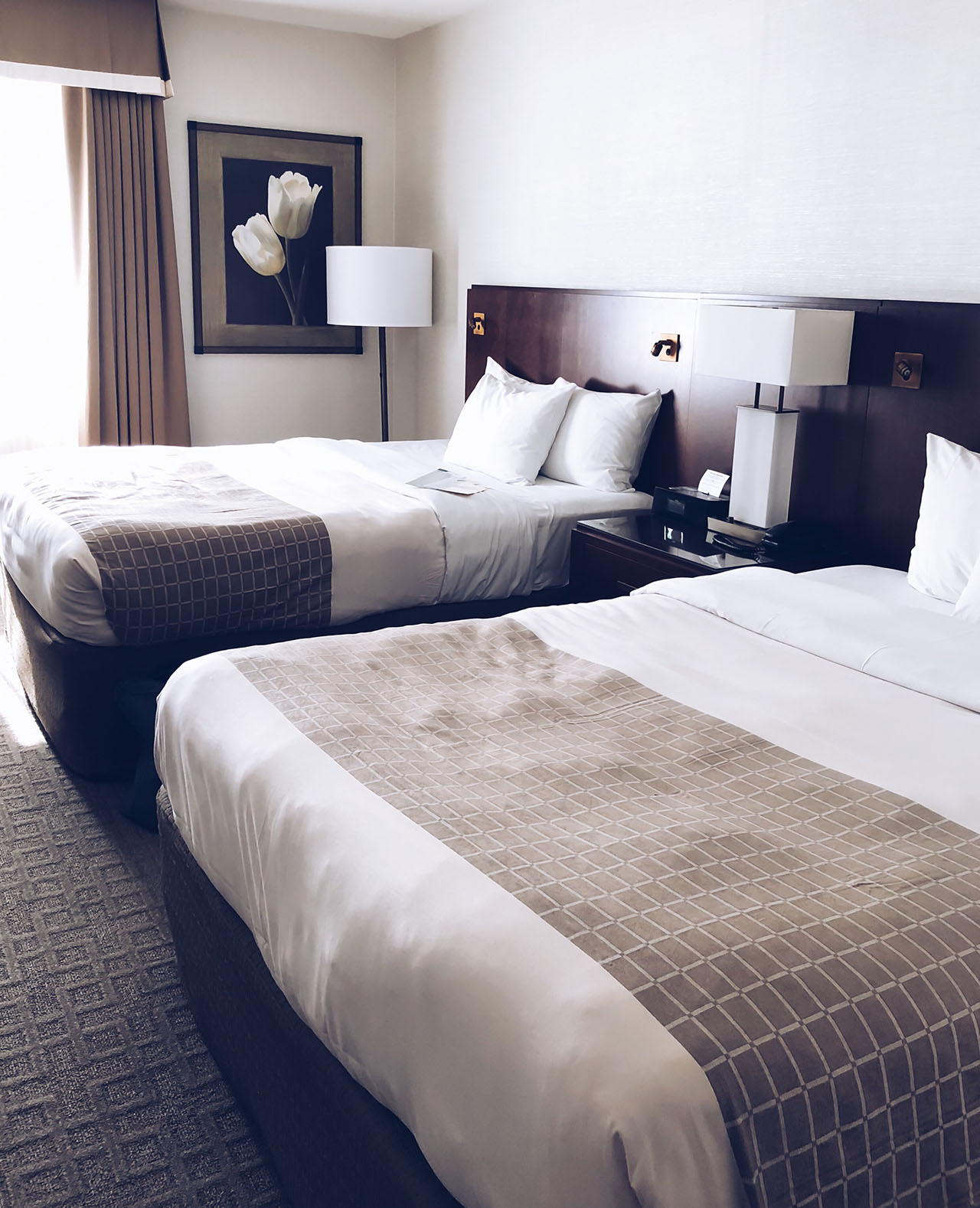 Zimmer - BMH | Blu Mare Hotel